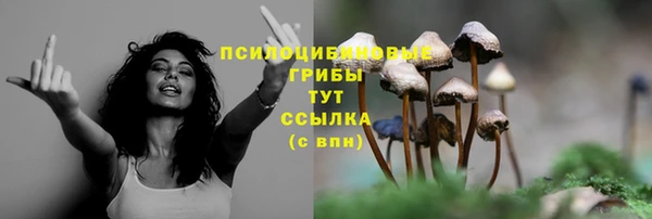 хмурый Балахна