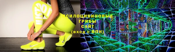 эйфоретик Баксан